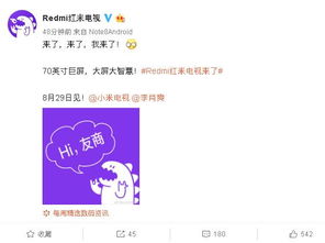 红米70寸巨屏电视震撼发布，信息技术咨询服务引领智能家居新体验